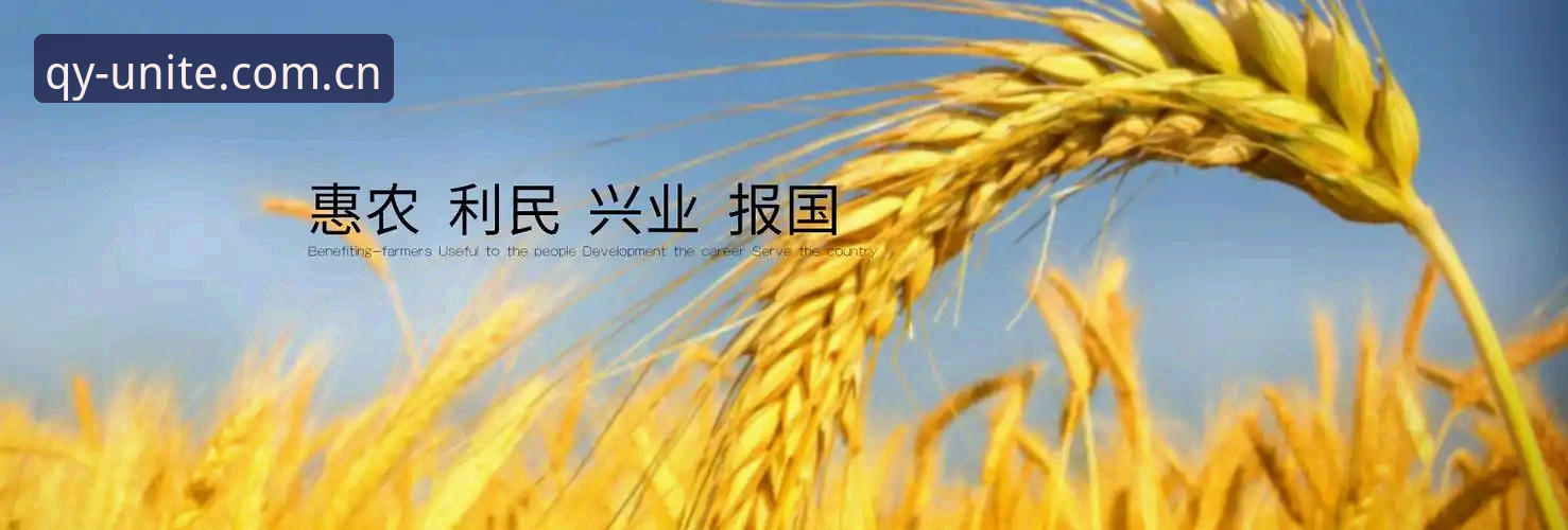 装了五次才明白：千亿球友会中国首页安装，坑都在哪？